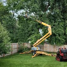 Best Lawn Dethatching Services  in Countryside, VA